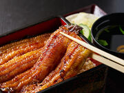 �n�Ɩ����O�\�ܔN �V�̂��т�̎ʐ^1