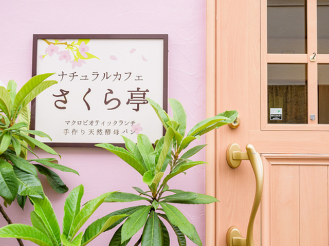 �i�`�������J�t�F ��������̎ʐ^1