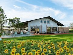 sbcFA&JtF K[u O[EH[N̎ʐ^1