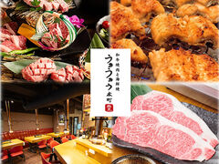 �ē����������� �{���̎ʐ^1