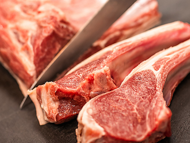 �W���M�X�J�� ��މÂ̎ʐ^1