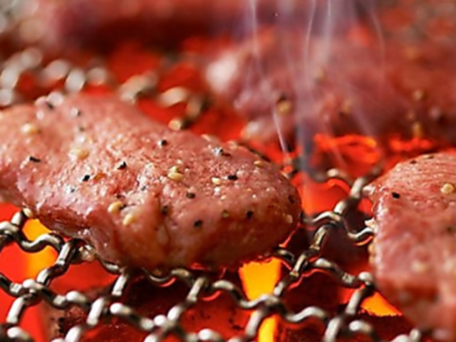 �ē��g���W�V�_�X�̎ʐ^1