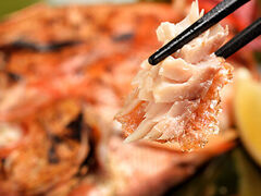 �q���m�ƃ��X �X�^���h�q���q ���s�|���^�X�̎ʐ^1