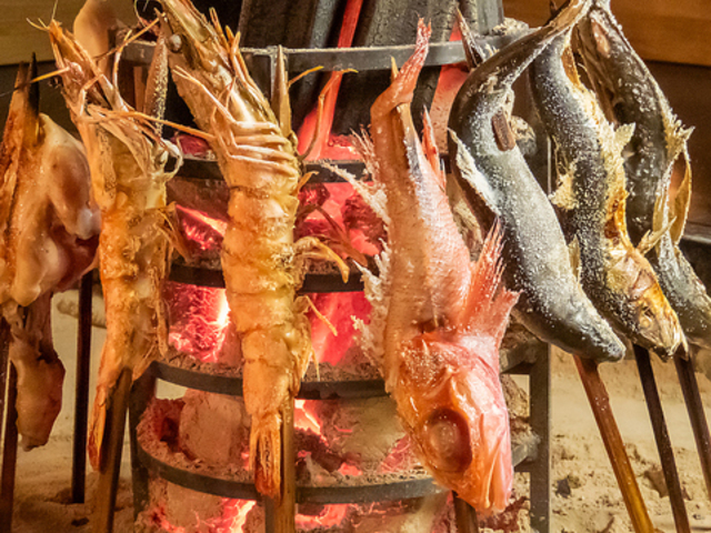 �͘F���������R-ZAN-�̎ʐ^1