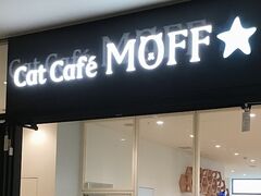 Cat Cafe MOFF �O�����x���[�p�[�N�X�̎ʐ^1