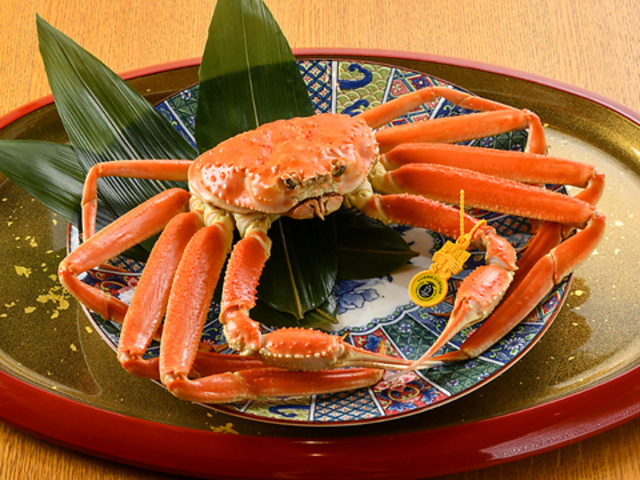 ���������B�ڂ񂽋���w�O�X�̎ʐ^1