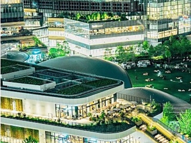 �~�c �X�J�C ���߂����O���[���v���C�X�̎ʐ^1