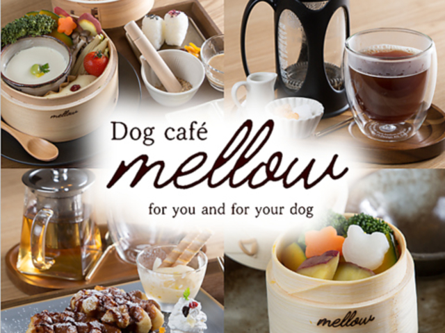 Dog cafe mellow �h�b�O �J�t�F �����E�̎ʐ^1
