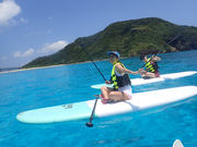 �t�@���t�@���h���t�B�� �P���}���Ó��X�̎ʐ^2