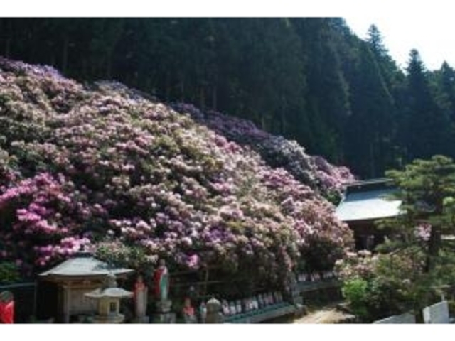 ���􎛂̐Γ�Ԃ̎ʐ^2