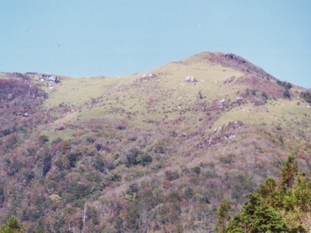 �y����R