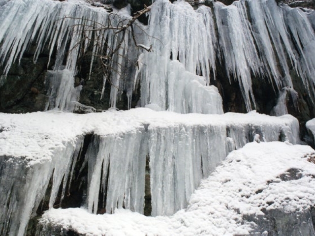 �͌��J�̑���i�ʏ́F�����j