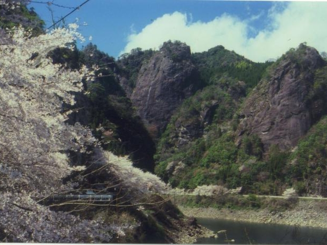 �����_���i�R����E �n�[�g��j