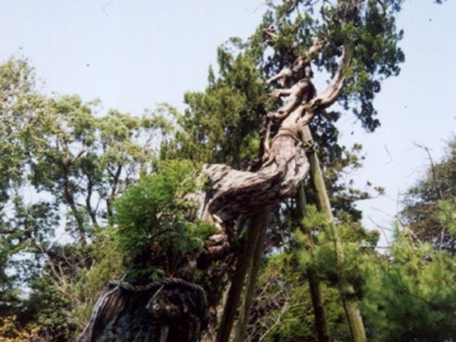 �r���N�V��_�V�k�_�Ђ̃r���N�V��