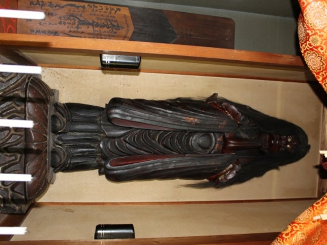 �F�z�S�q��_