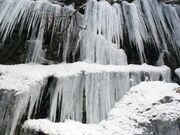 ͌J̑iʏ́Fj̎ʐ^1