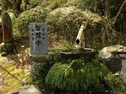 �s�V�R�@�������̎ʐ^2