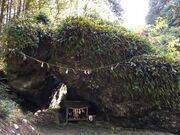 �v�w��̎ʐ^2