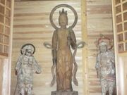 �H���ω��̎ʐ^2