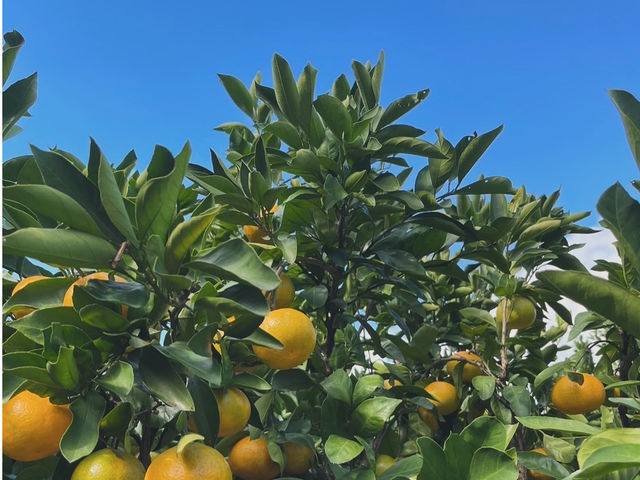 �ό��_�� ��y��