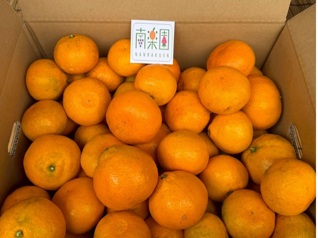 �ό��_�� ��y��