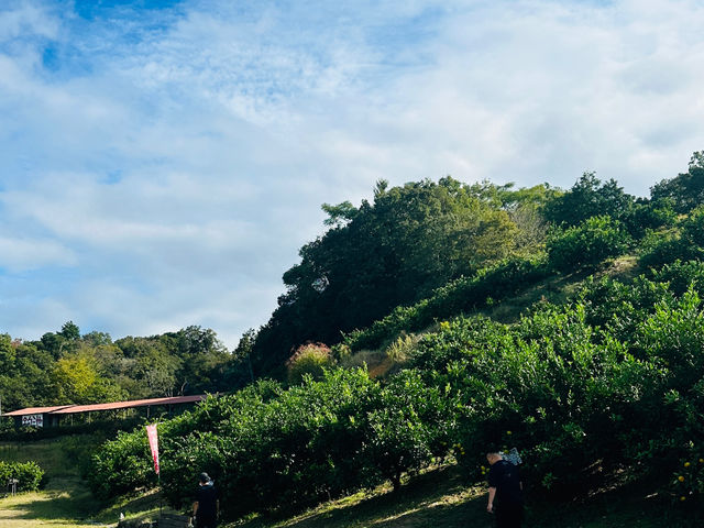 �ό��_�� ��y��