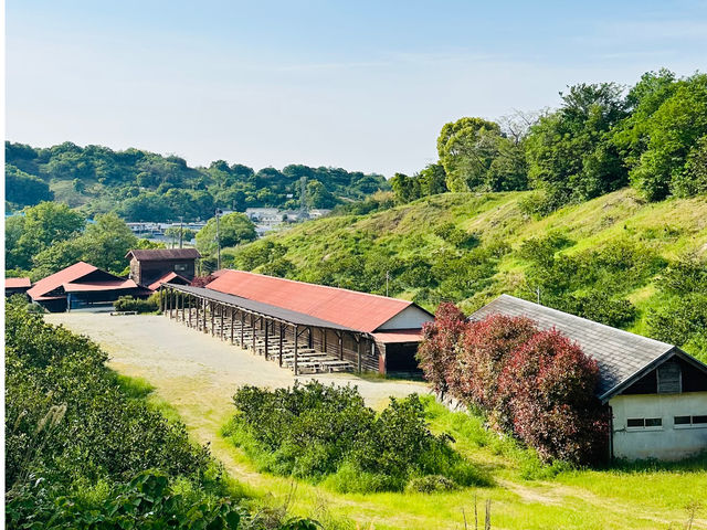 �ό��_�� ��y��