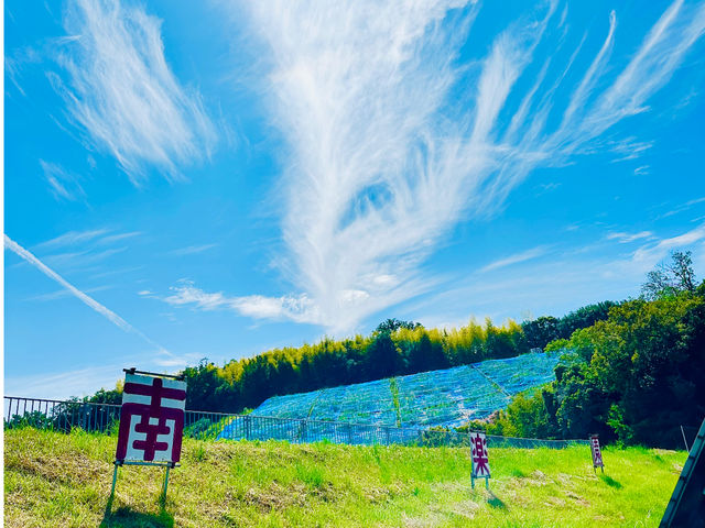 �ό��_�� ��y��