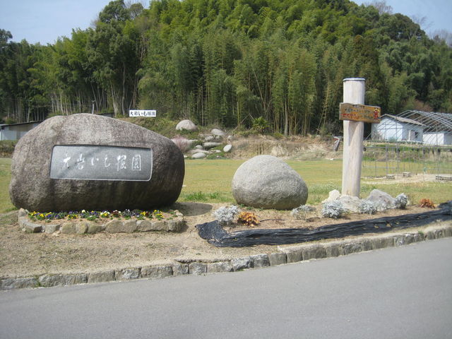 ��₢���@�艀