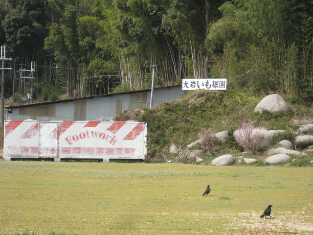 ��₢���@�艀