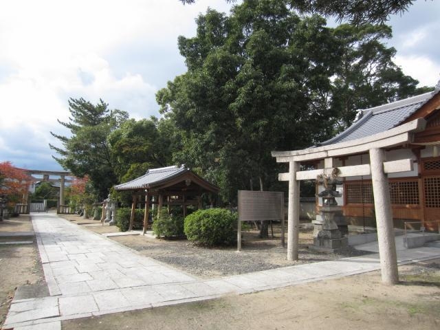 �t���_��