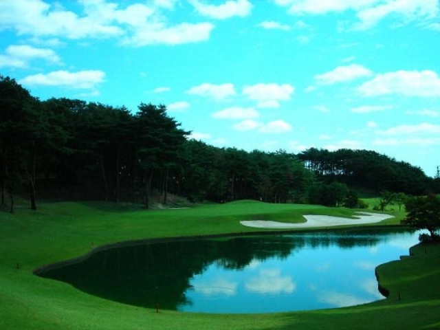 �m�̓s�S���t��y���̎ʐ^1