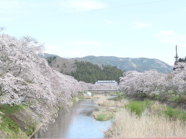 �ӂ�ǂ̍��X���̎ʐ^1