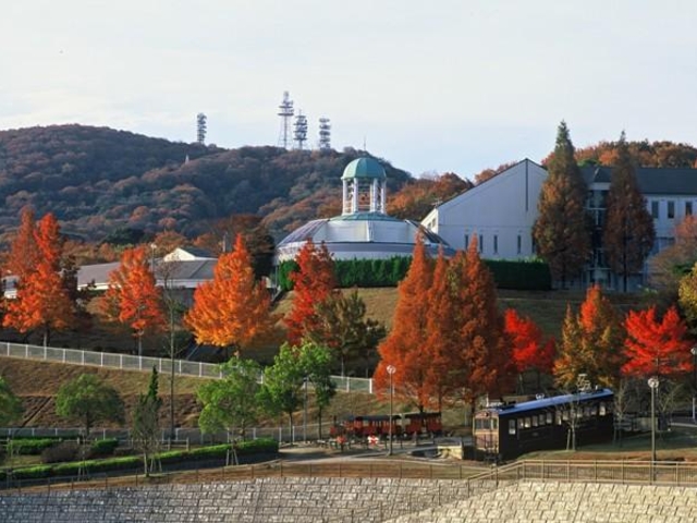 ����R�[����