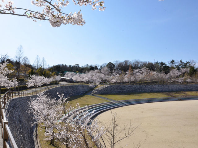 ����R�[����