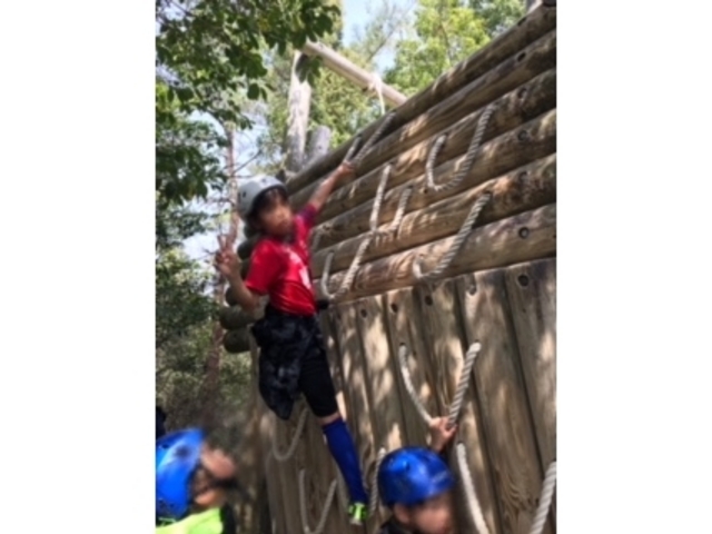 ����R�[����