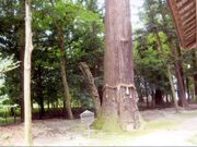 ��I���_�Ђ̑吙�̎ʐ^1