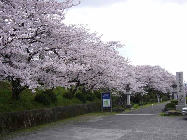 燓V�@���{�R�@�ӎ��̎ʐ^1