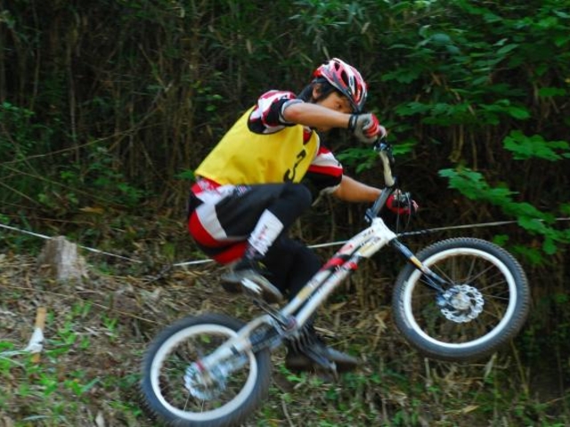 �D�˃_���g���C�A���p�[�N�̎ʐ^1