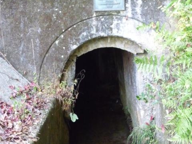 ���̓�詓��̎ʐ^1