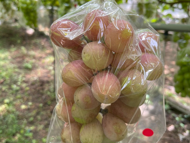 ��H�Ԃǂ���