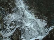 �G���̑�̎ʐ^1