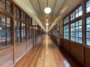 �݂��̌��𗬊ق̎ʐ^2