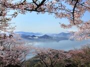 όW{ł߂uMeRERv̎ʐ^3