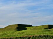 �ăm���Õ��̎ʐ^1