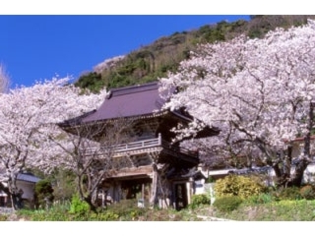 ��ꎛ�^������̎ʐ^1