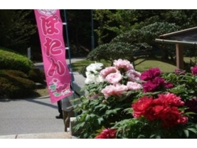 ���R���������^�ڂ���̎ʐ^1