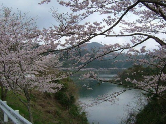 �����΁^������̎ʐ^1