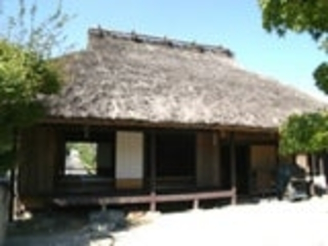 ����������_����������