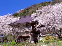 ��ꎛ�^������̎ʐ^1